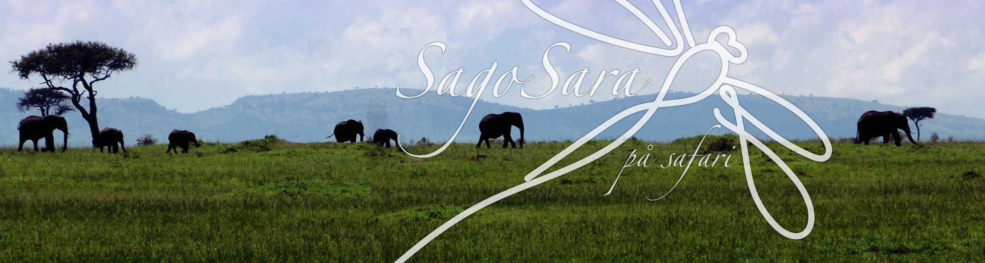 Sago Sara på safari